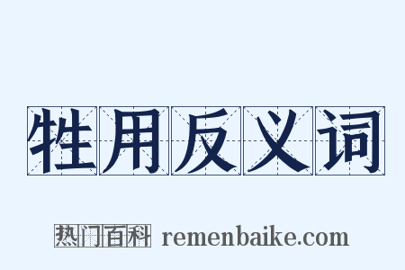 牲用反义词是什么意思的图片